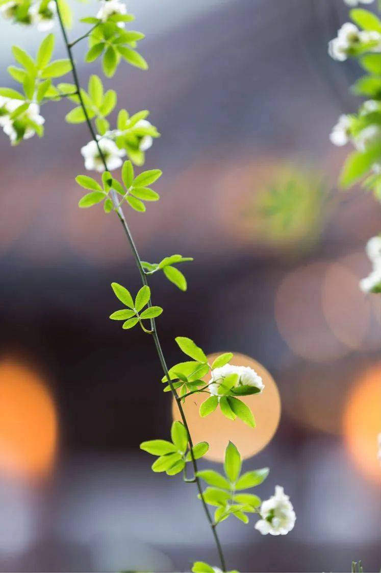 宁静心灵,阳光生活_人生_内心_摄影