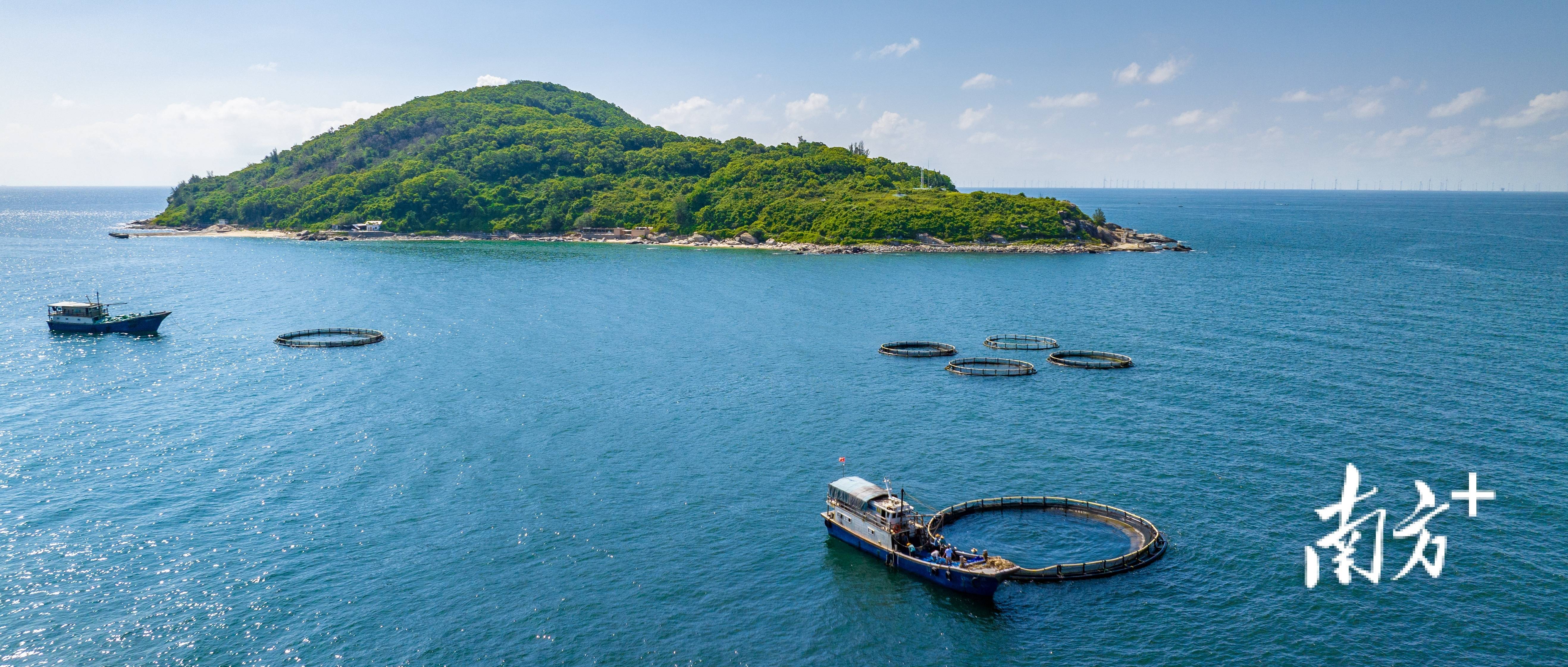 阳西:"中国调味品之都"如何激活产业发展"流量密码"?