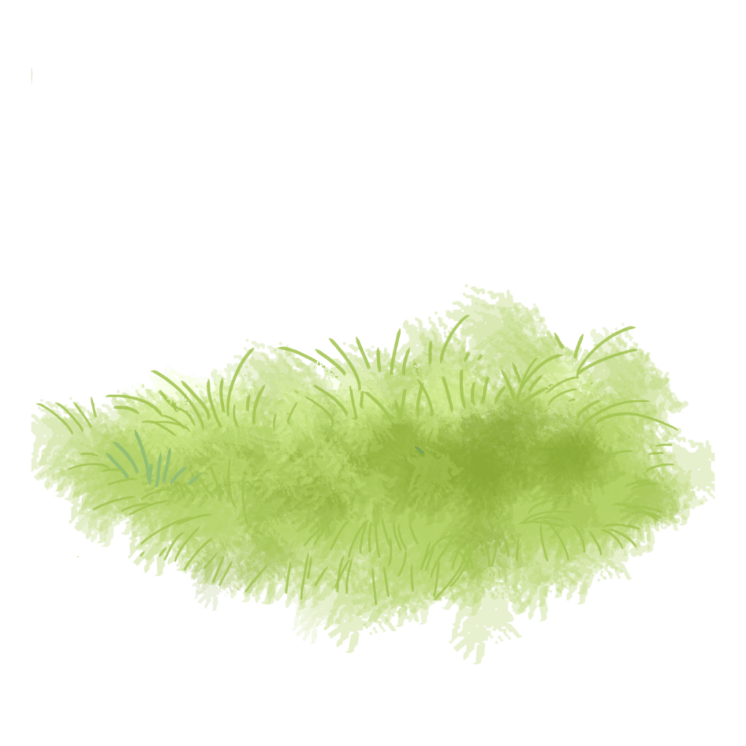 收藏北京朝阳赏花地图来了