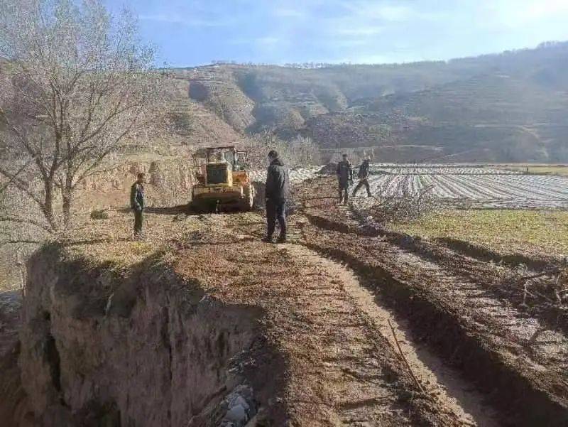 抓技术 精管护全速按下春耕"快进键"宁远镇邀请农技专家深入田间地头