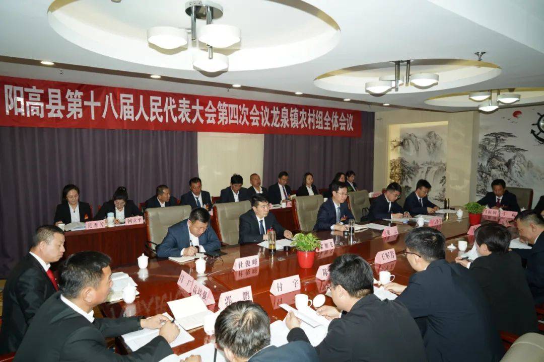 阳高两会谢云参加龙泉镇农村组代表团分组讨论