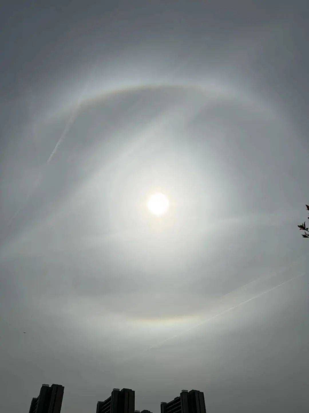 今天申城天空出现美丽日晕,你看到了吗?_小布_冰晶_网友