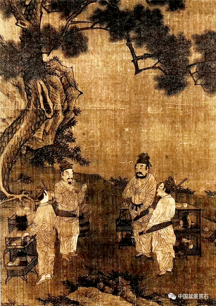 向经典致敬——重温中国松树盆景传世之作"刘松年笔意"