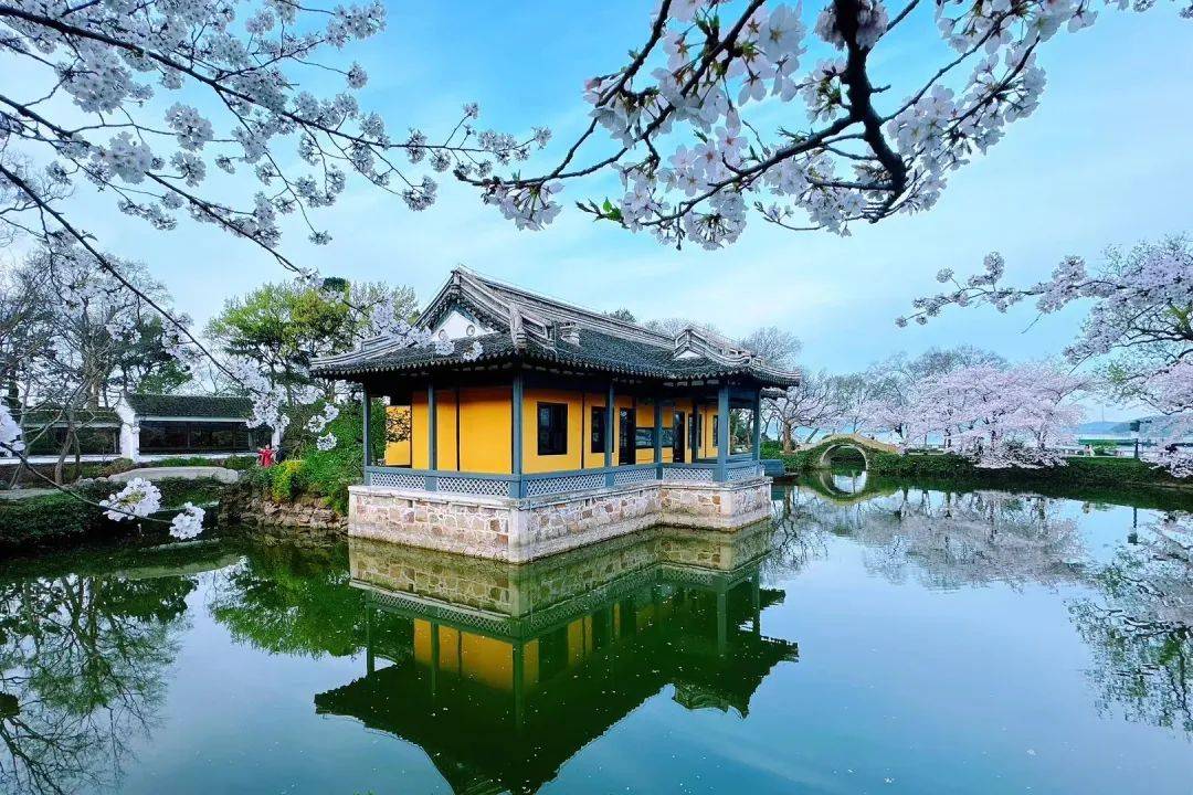 清晨6点的鼋头渚美爆了