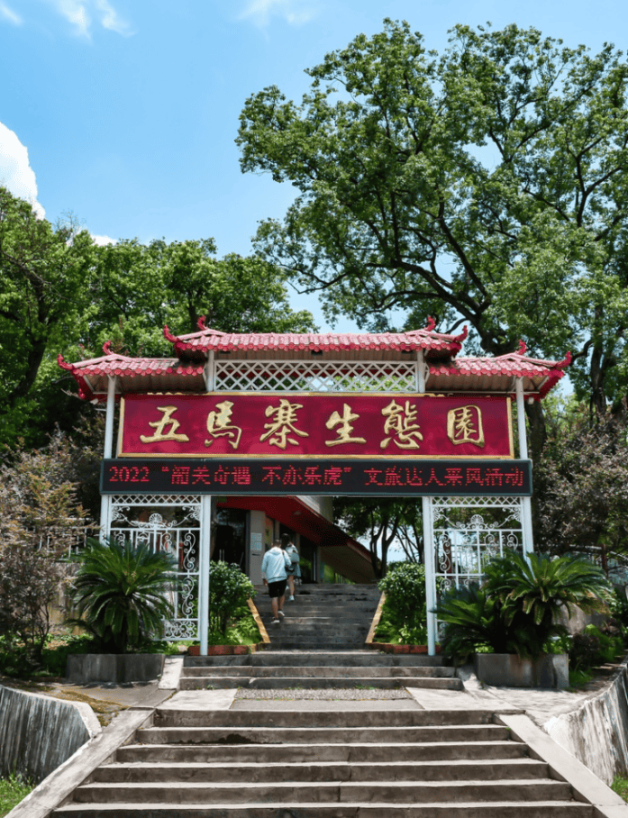 清明踏青韶关旅游年卡分享游玩线路超多景区免门票攻略来啦