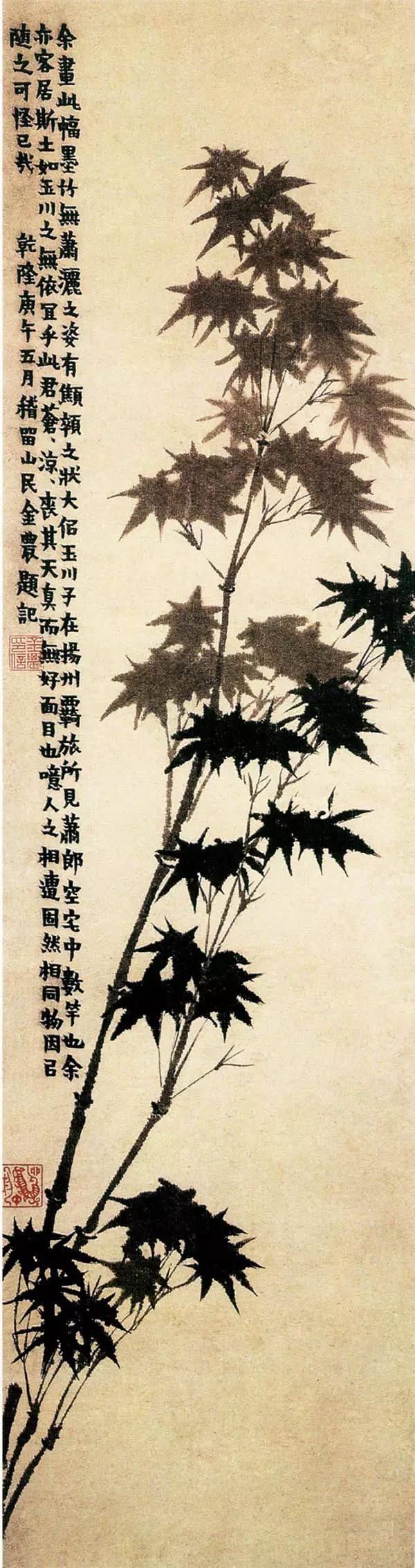 金农大胡子的柔情似水