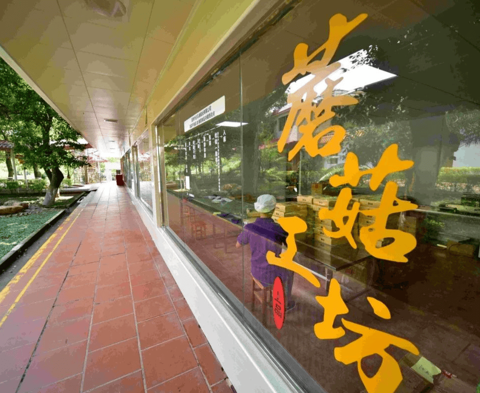 清明踏青韶关旅游年卡分享游玩线路超多景区免门票攻略来啦