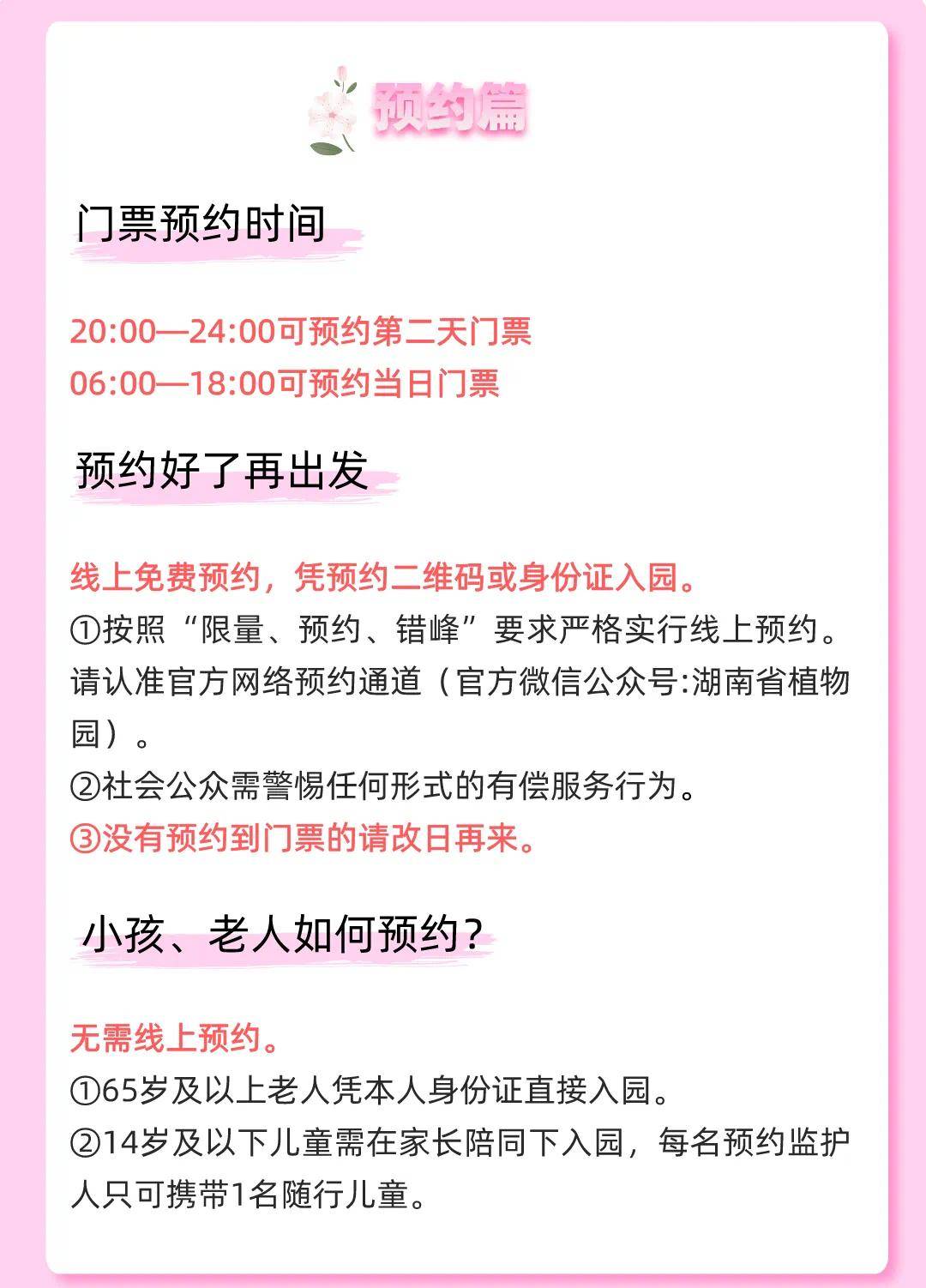 湖南省植物园郁金香染井吉野樱已进入末花期