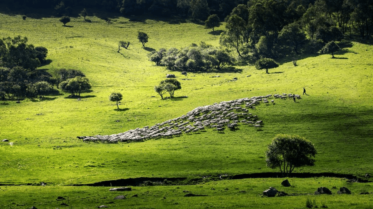 陇县周边旅游景点大全图片