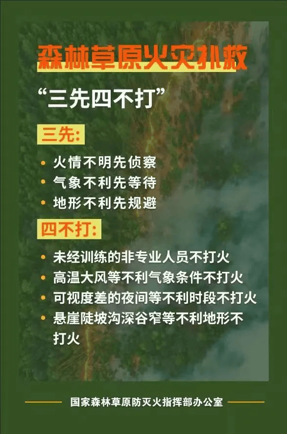 2021年森林防火十不准图片