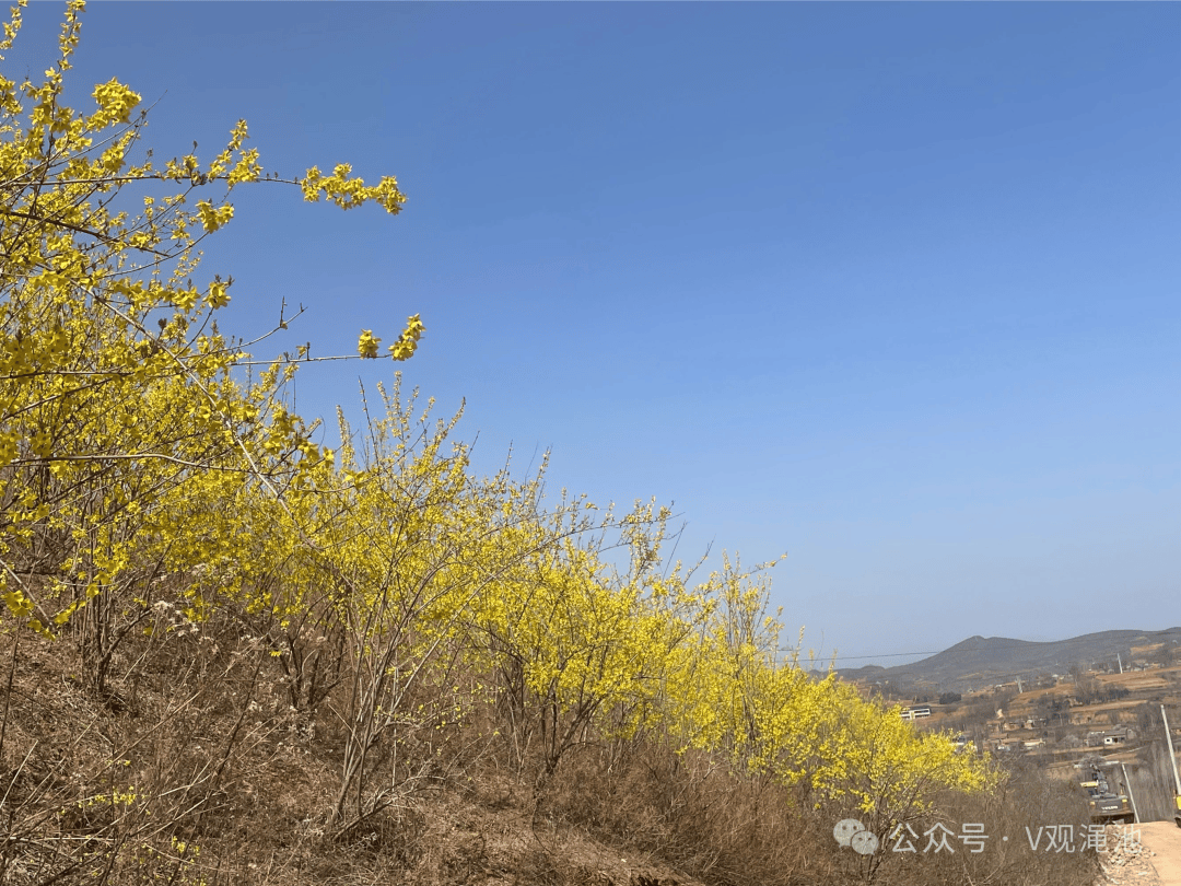 坡头官渡森林康养小镇图片