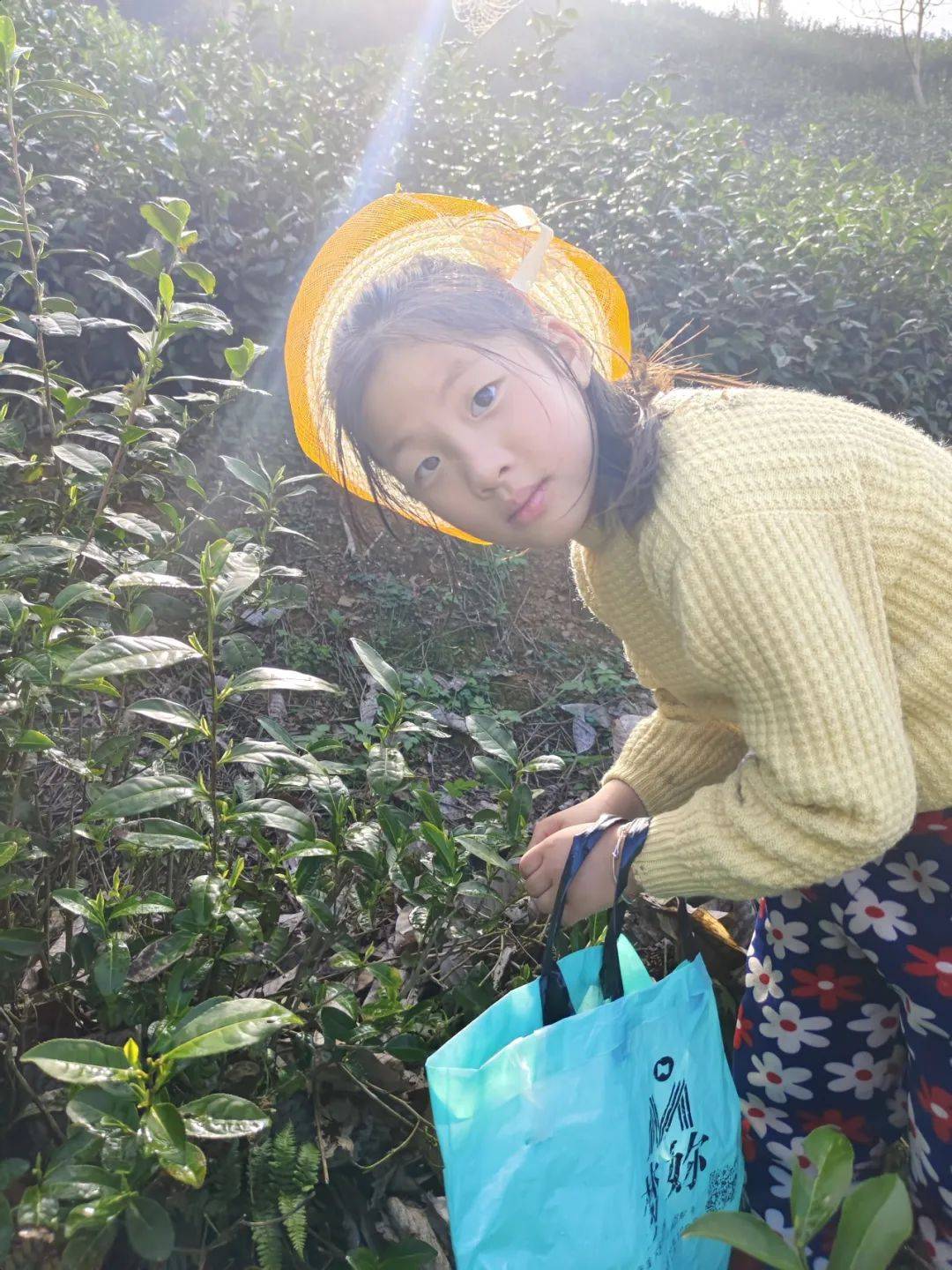 春季研学丨开化县林山乡中心小学走进春天的课堂