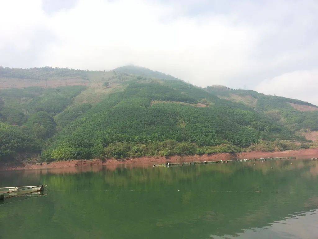 阿墨江好去处大鱼满仓乐满怀上