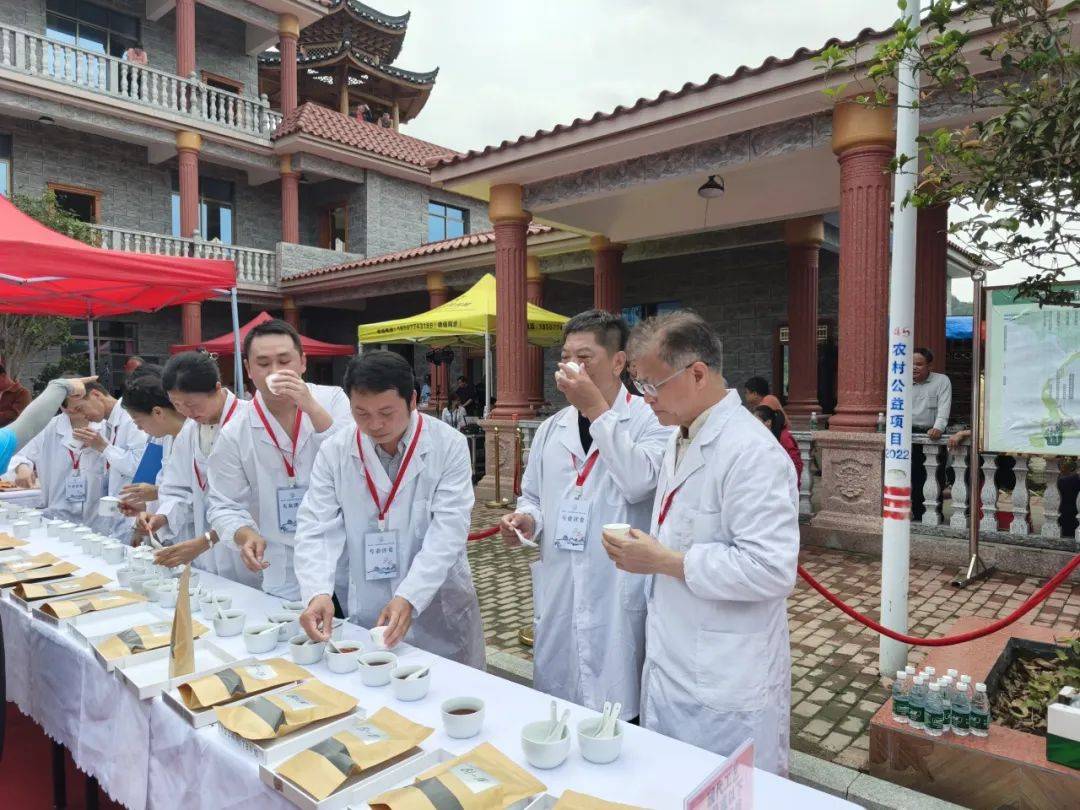 云边采芽茶海品茗丨三鹤杯2024年梧州六堡茶斗茶大赛火热开赛