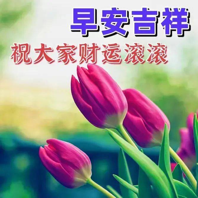 早上好最新版,早上好短句,最暖心的早安问候语_生活_人生_祝福