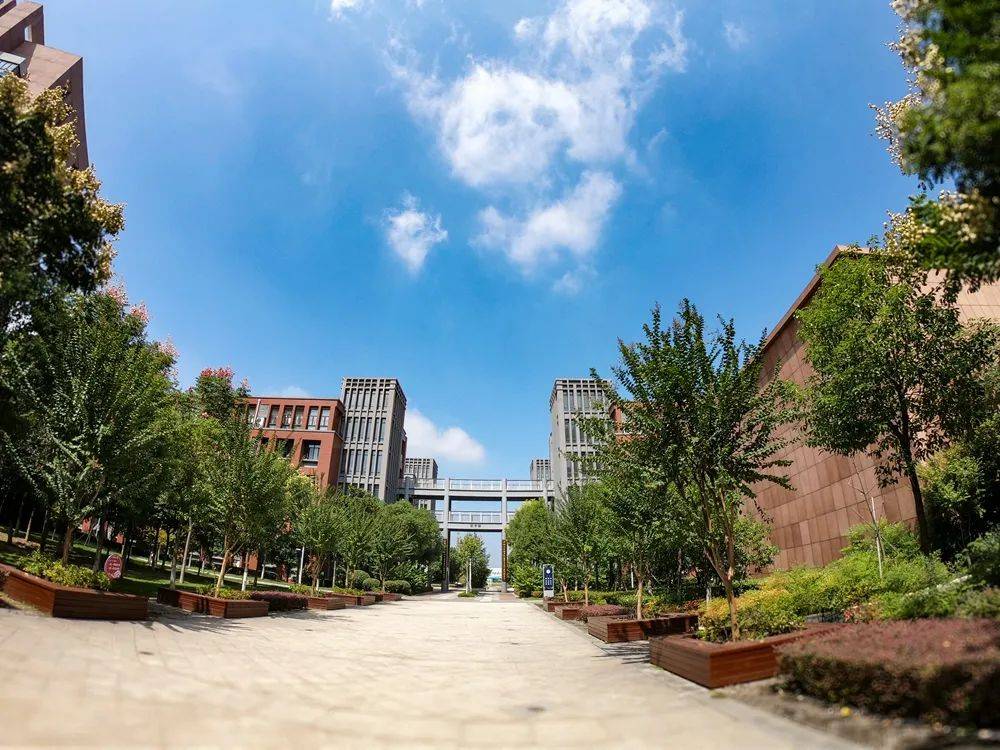 梦启习坎心向远方沙市中学举行2024级创新人才实验班开班仪式