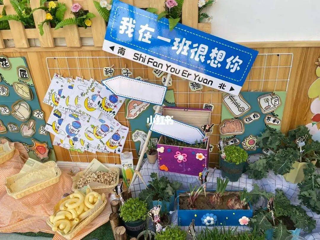小角落大自然幼儿园自然角创设指南等你收藏