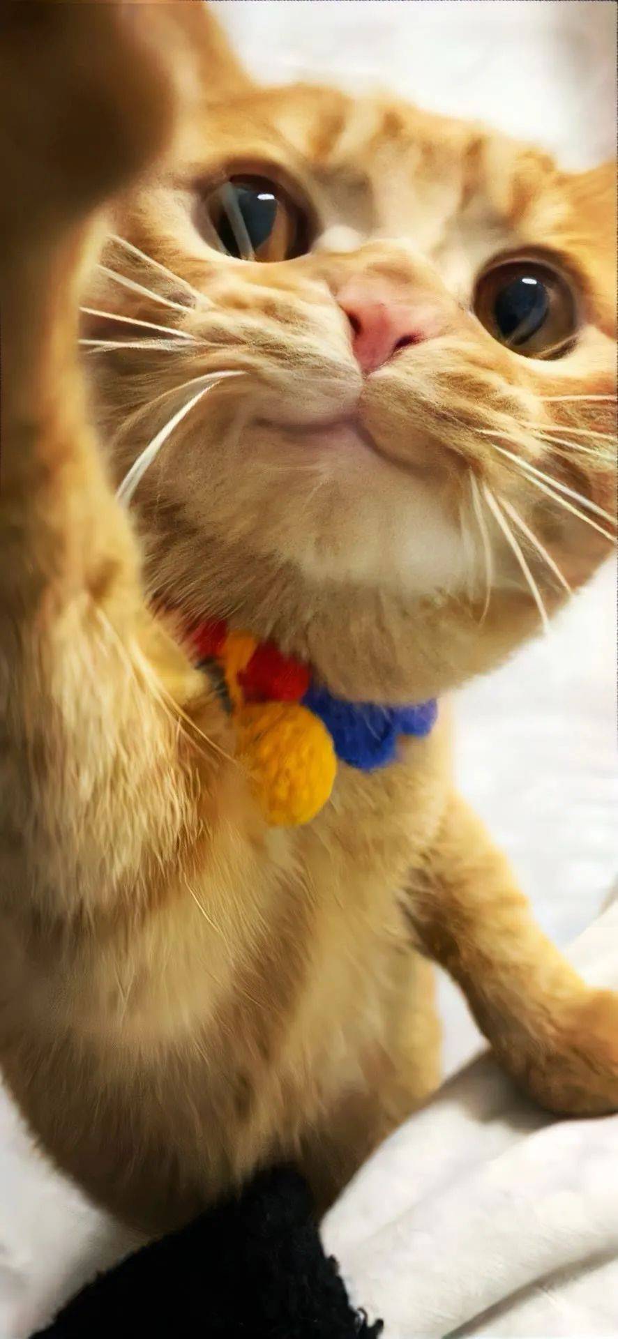 4k超清手机壁纸丨锁屏壁纸聊天背景图