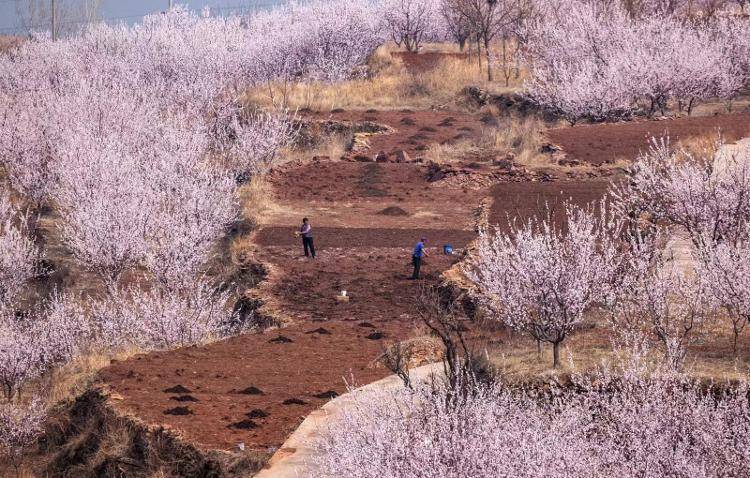 参赛作品请于4月25日前发送至邮箱471191696@qq.com.