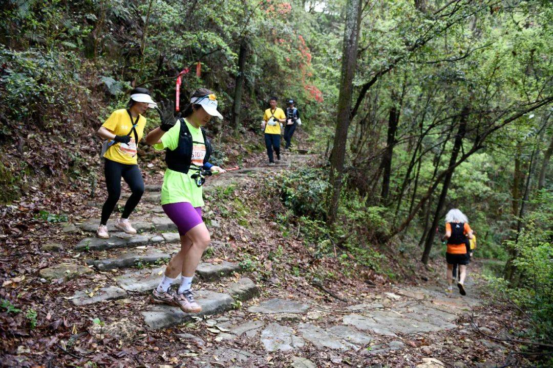 相约珠山乐跑陶源瓷源境杯陶源霞客行2024珠山文体商旅融合越野赛