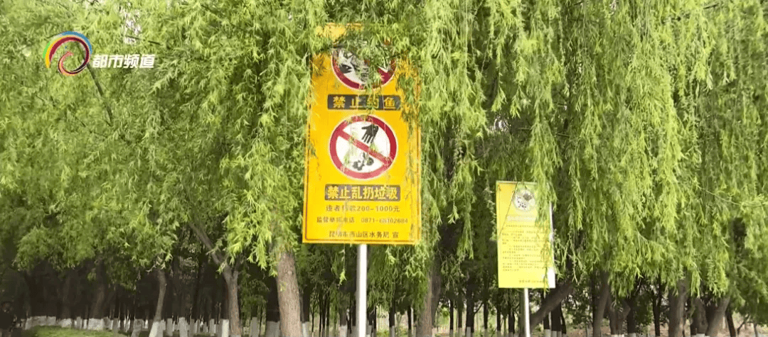 湿地公园两种风景垃圾遍地该谁管