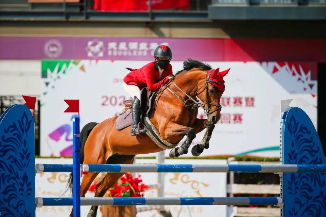 联赛战报丨2024超级马术俱乐部联赛北京天星调良马术第