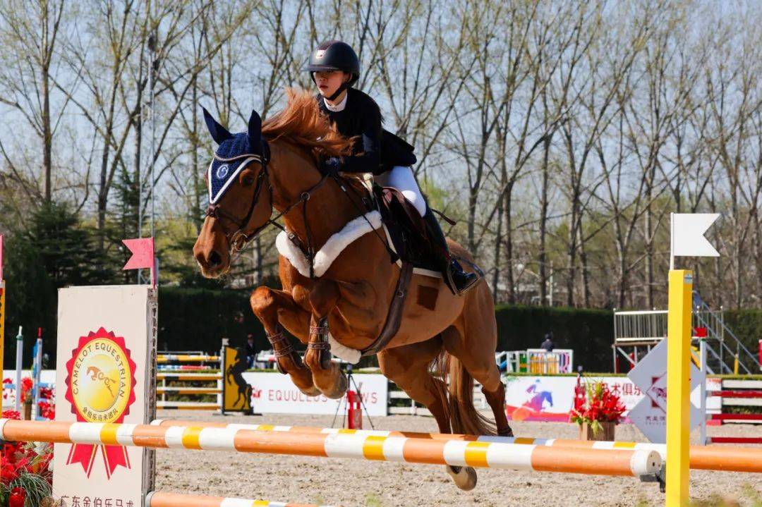 联赛战报丨2024超级马术俱乐部联赛(北京天星调良马术第2站)暨北京市