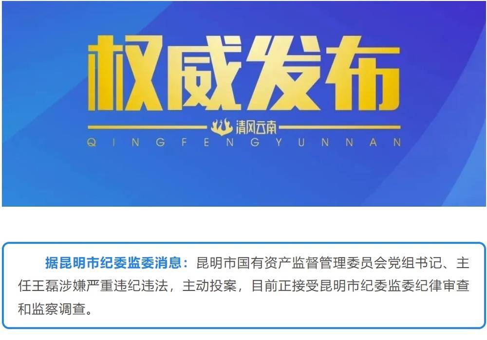 昆明市国资委党组书记主任王磊主动投案