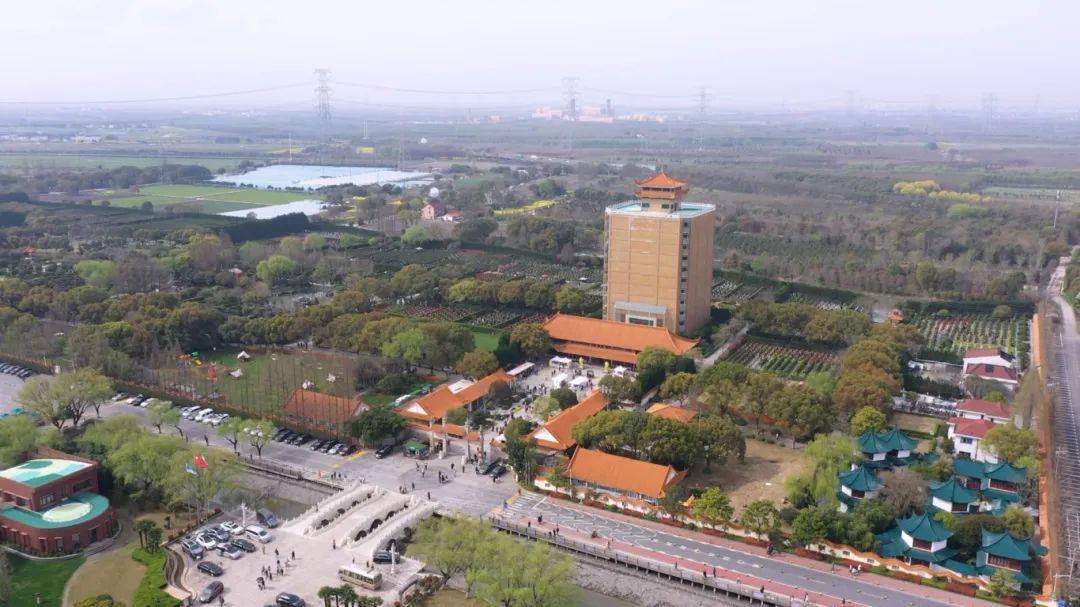 青浦:强化安全保障,打造"平安清明"_墓园_市民_上海