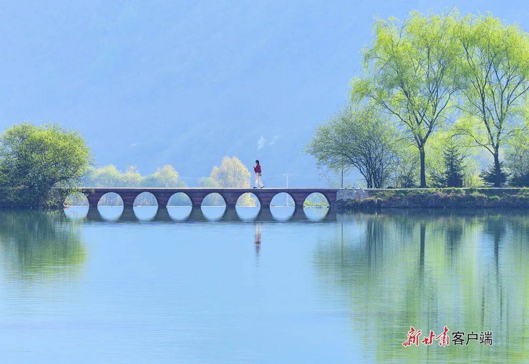 踏青时节快来甘肃数春天一朵两朵三朵646464