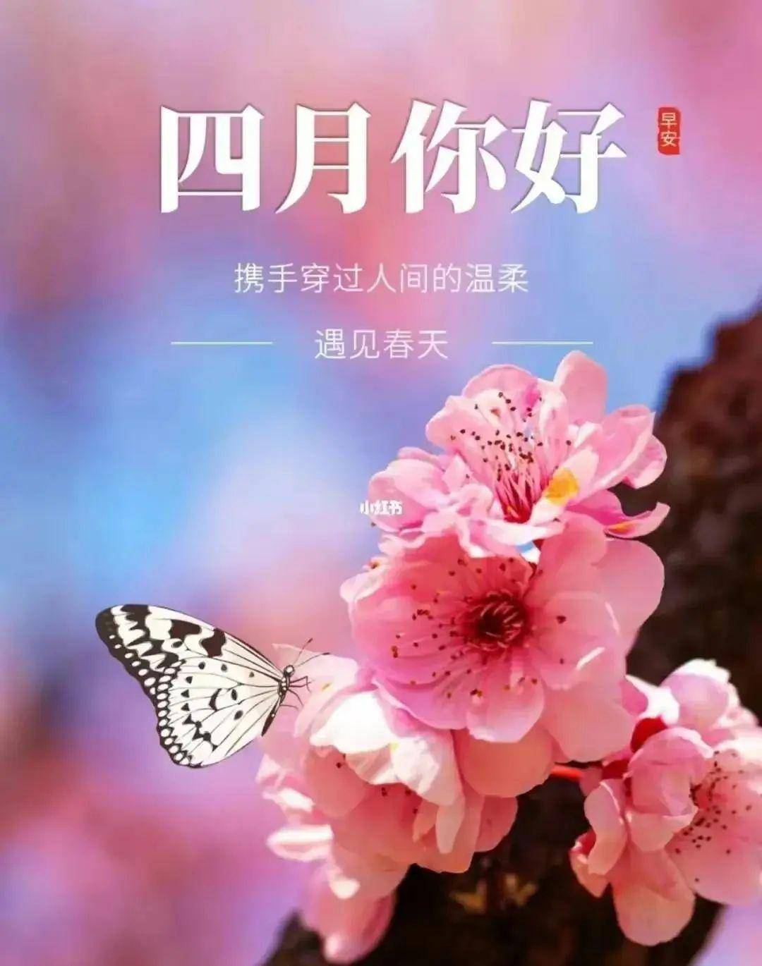 四月你好愿你我所有的梦想和期待都能如愿以偿