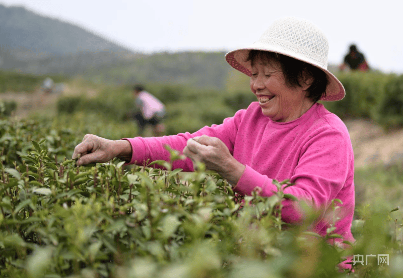 南阳唐河女人图片