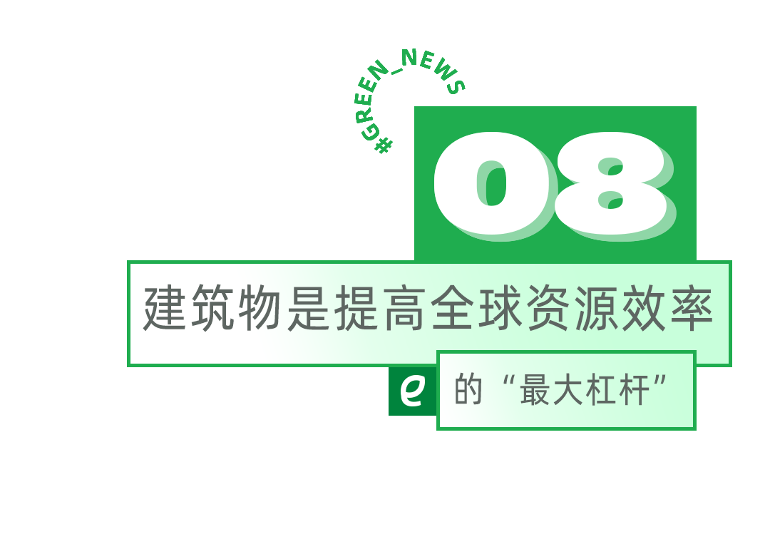我的城市胃越来越难消化纤维了