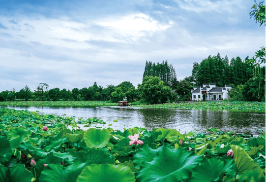 湾沚区旅游景点图片