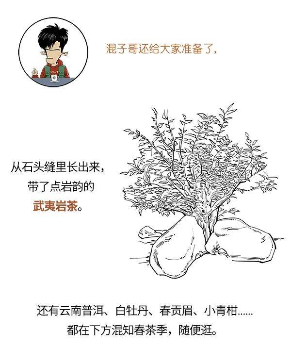 如何成为顶流绿茶