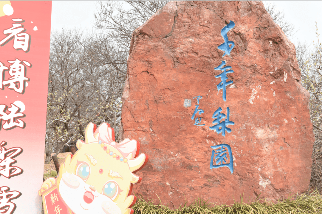 【文旅昌邑】快来看!第十五届山阳梨花节盛大开幕