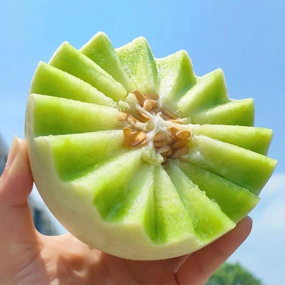 海南蜜瓜新鲜上市299元起抢3斤爆甜爽脆疯狂飙汁一口一个炫不停