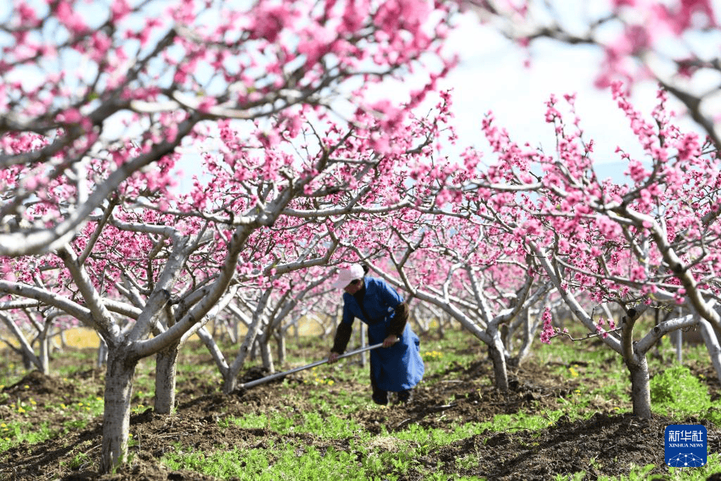 从北到南的春耕"渐变色"_东北_全国_时节