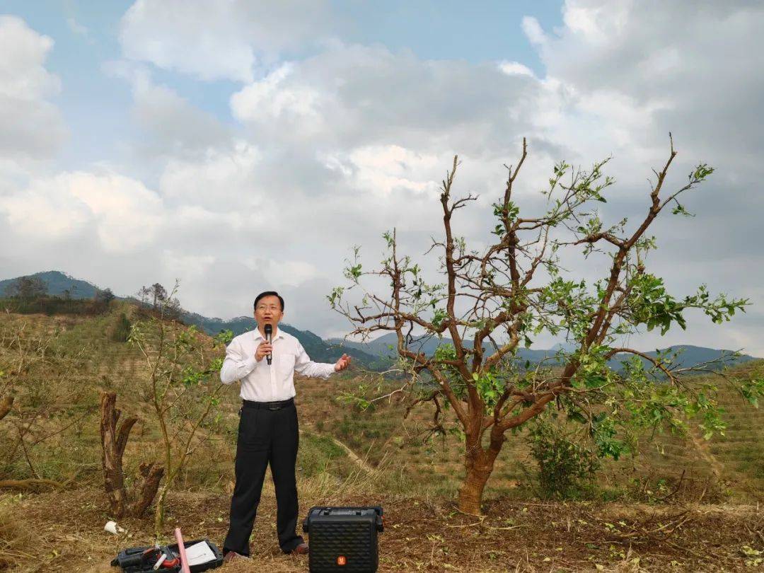 国强乡:邀农技专家为灾后生产"把脉"_冰雹_蔡荣生_进行了