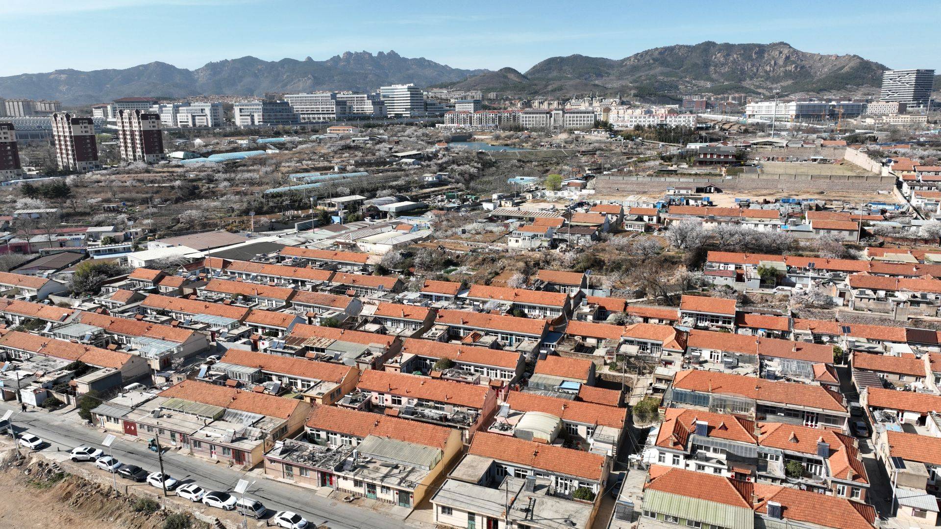 小邱帮问|东陈村已开展摸底调查 适时启动东陈社区_北