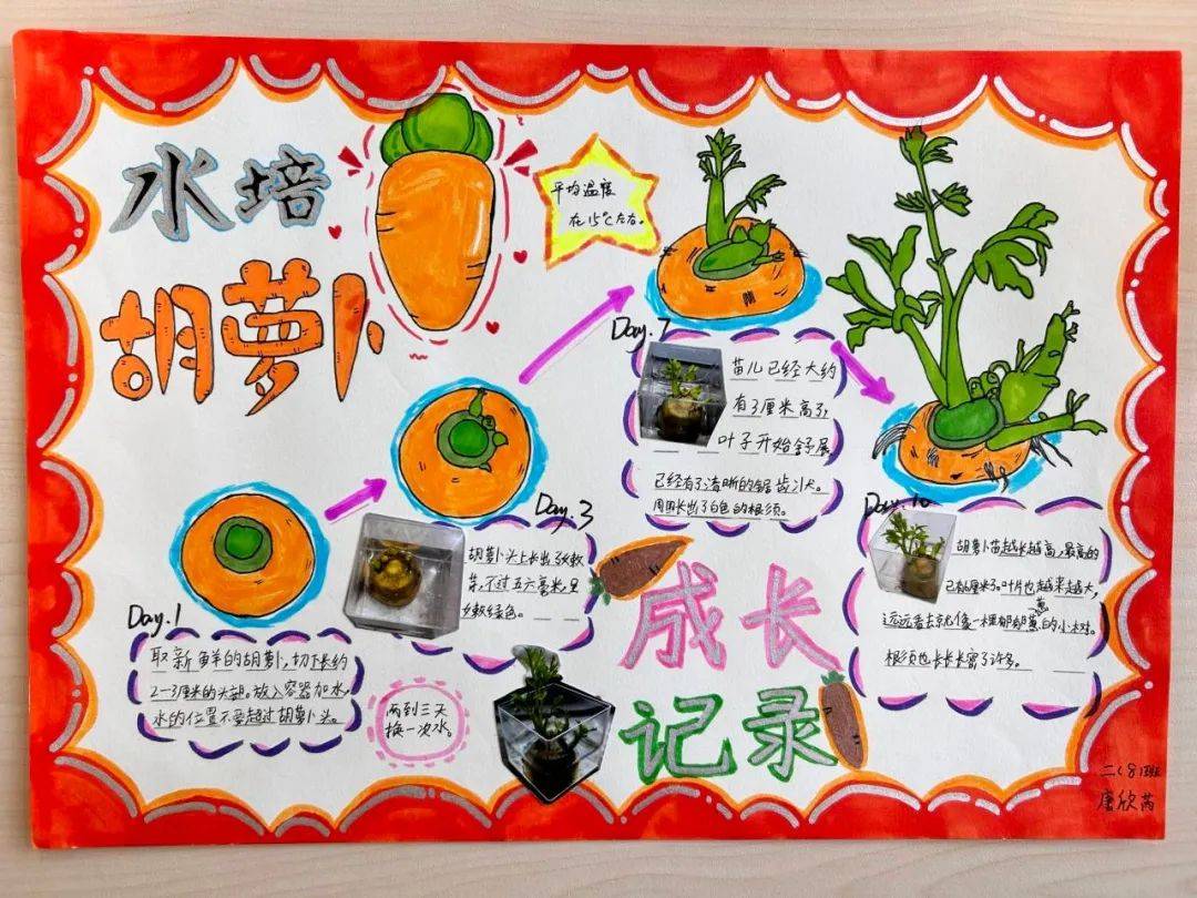 润童心 ——泰州实验学校绿植小园丁劳动课程实践