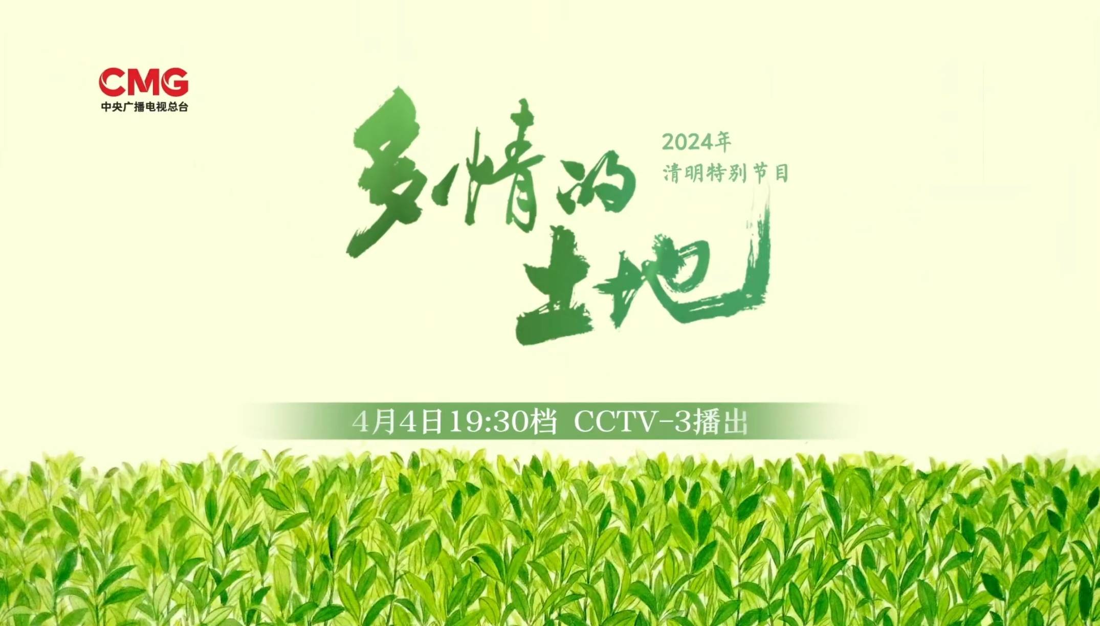 央视清明特别节目,主持人阵容"以老带新",尼格买提搭档新面孔_苏眉文