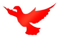 主题活动金茵小学清明祭英烈重走长征路