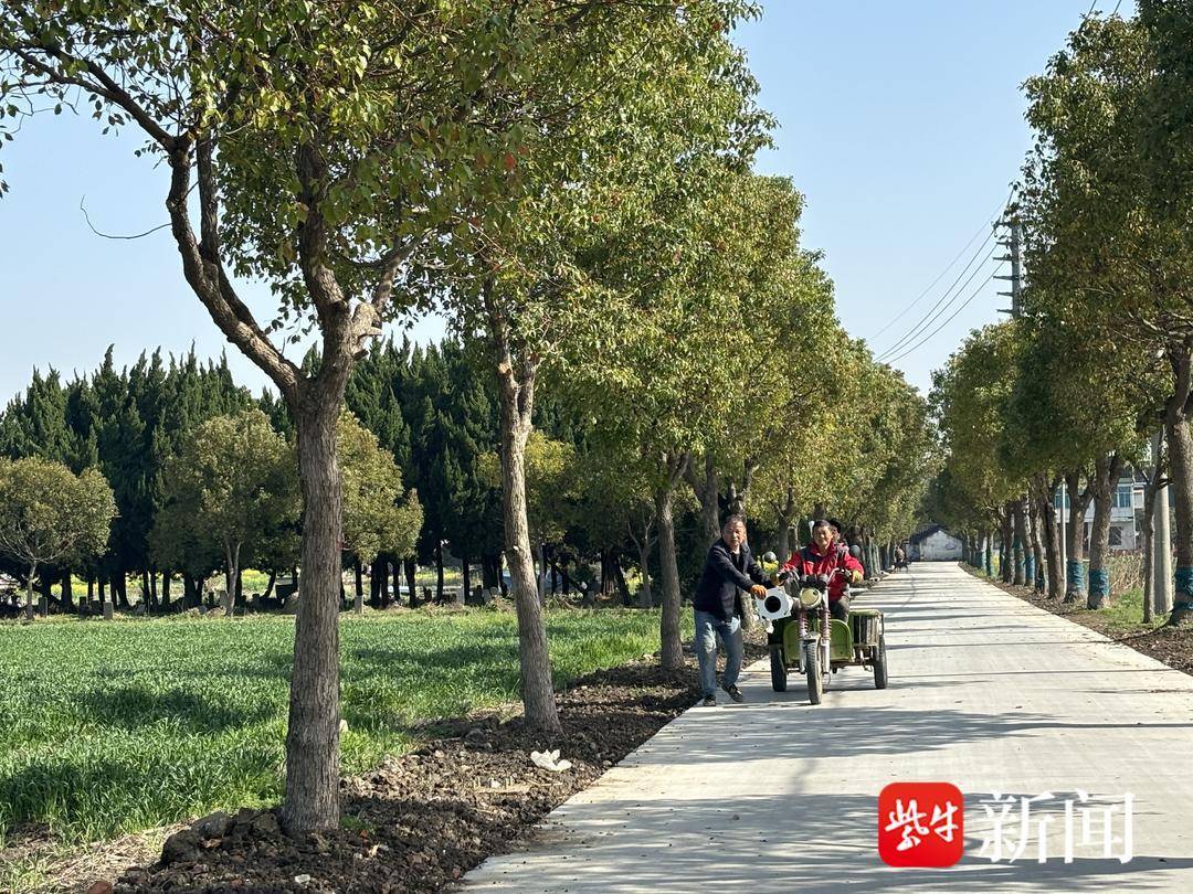 我为群众办实事常熟市董浜镇观智村安装路灯暖民心点亮村民新生活