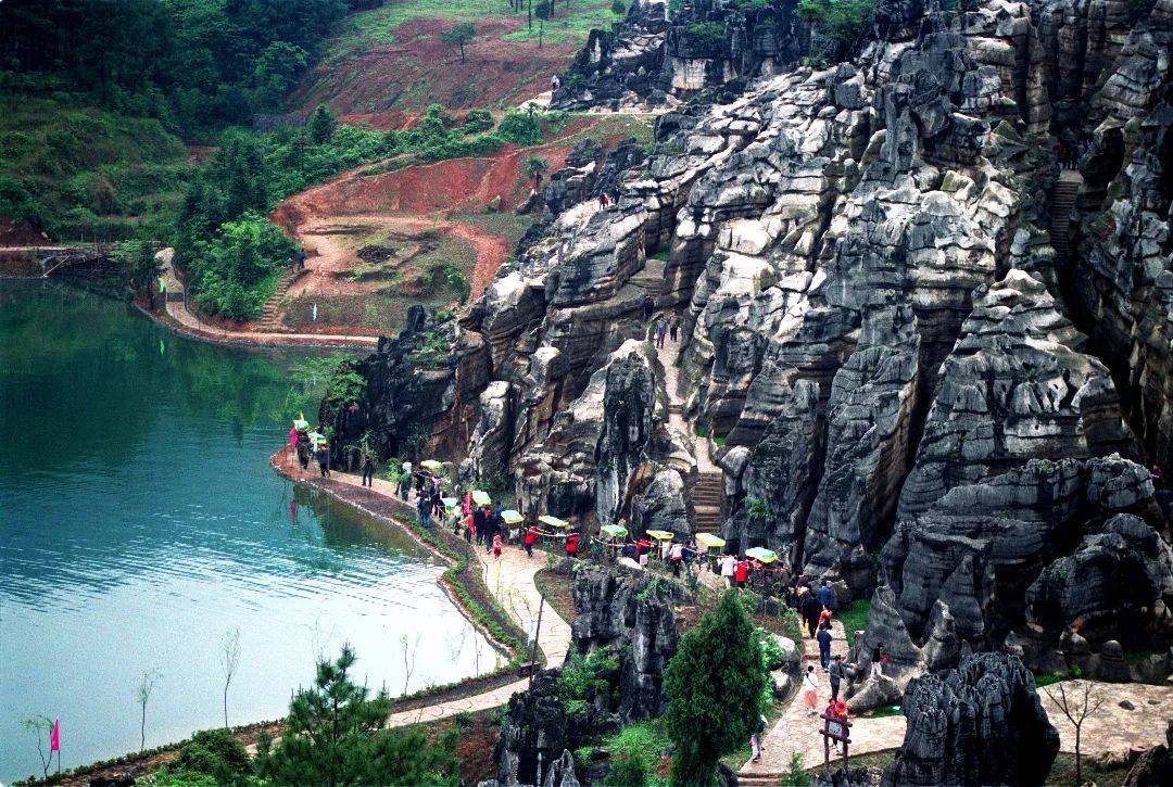 同时推出以及"鱼子岗——黑山谷——品鱼子岗土黄鳝——栖林藤椒鸡