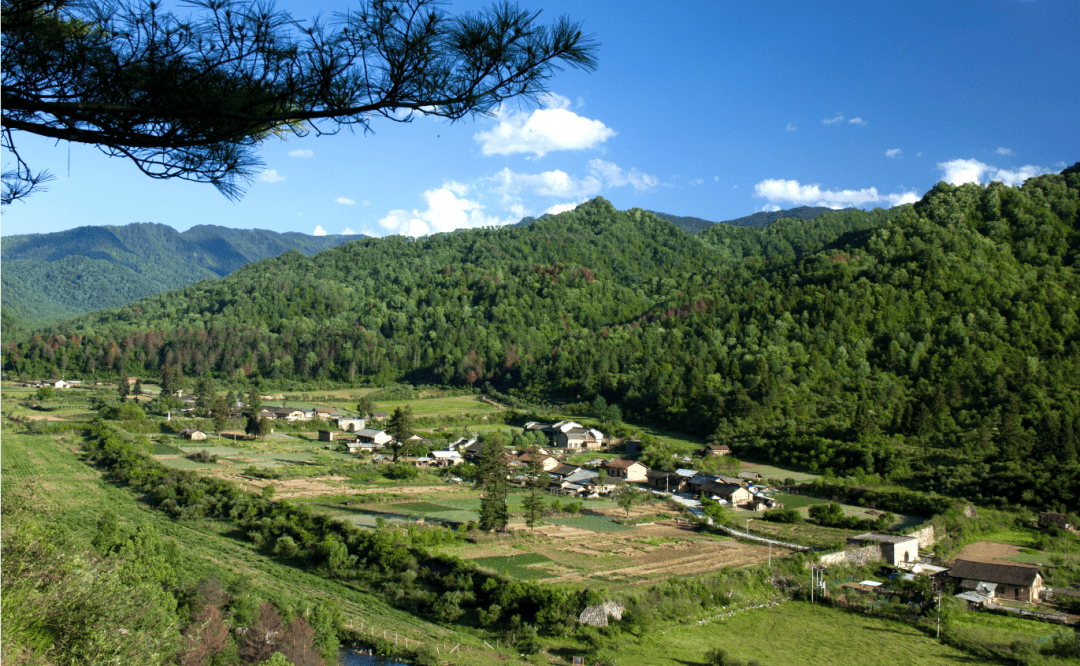 云尚周至春风十里周至等你