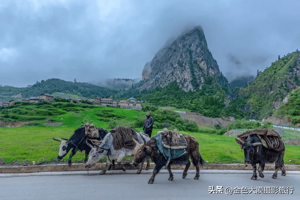 探秘洛克之路甘加秘境扎尕那拉卜楞寺刘家峡大桥7日摄影团