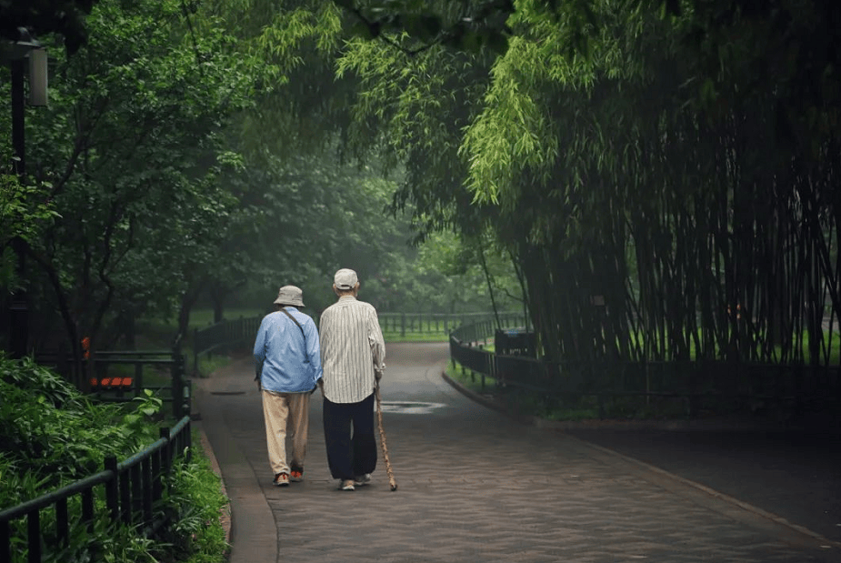 清明节,心灯点燃,为天堂的父母祈福;菊花献上,愿天堂的父母安好;纸钱