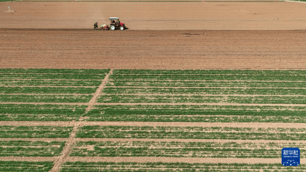 从北到南的春耕"渐变色"_东北_全国_时节