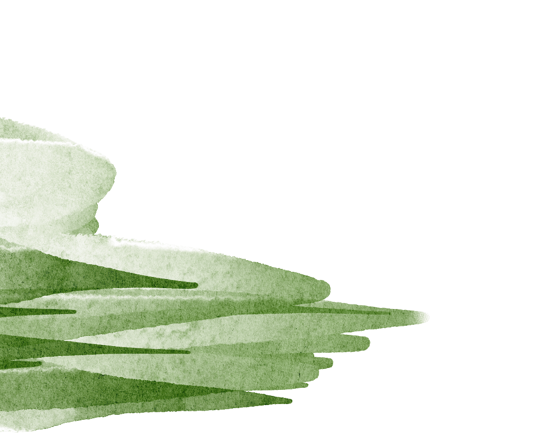 背景 壁纸 昆虫 绿色 绿叶 树叶 植物 桌面 1080_852